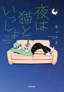 Nights with a Cat