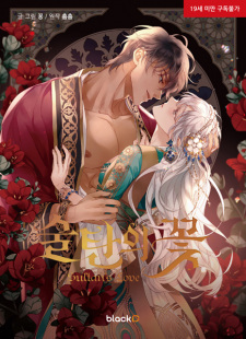 The Sultan's Love