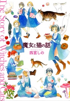 The Story of Witches and Cats