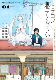 Please Look After the Dragon